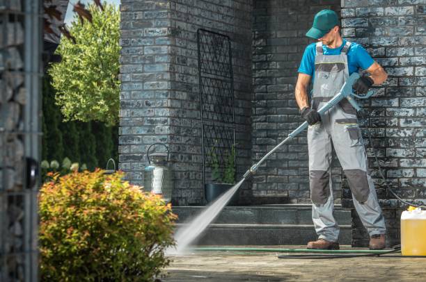 Best Animal Enclosure Cleaning  in Fallon, NV